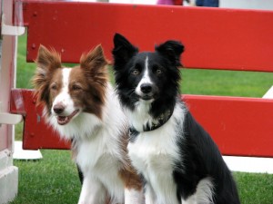 Recess and Gossip at Nationals 2010