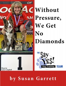 Susan Garrett's Without Pressure We Get No Diamonds