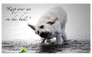 Keep your eye on the ball